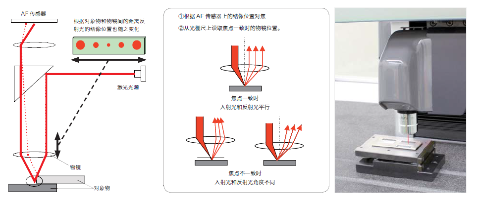 无标题.png